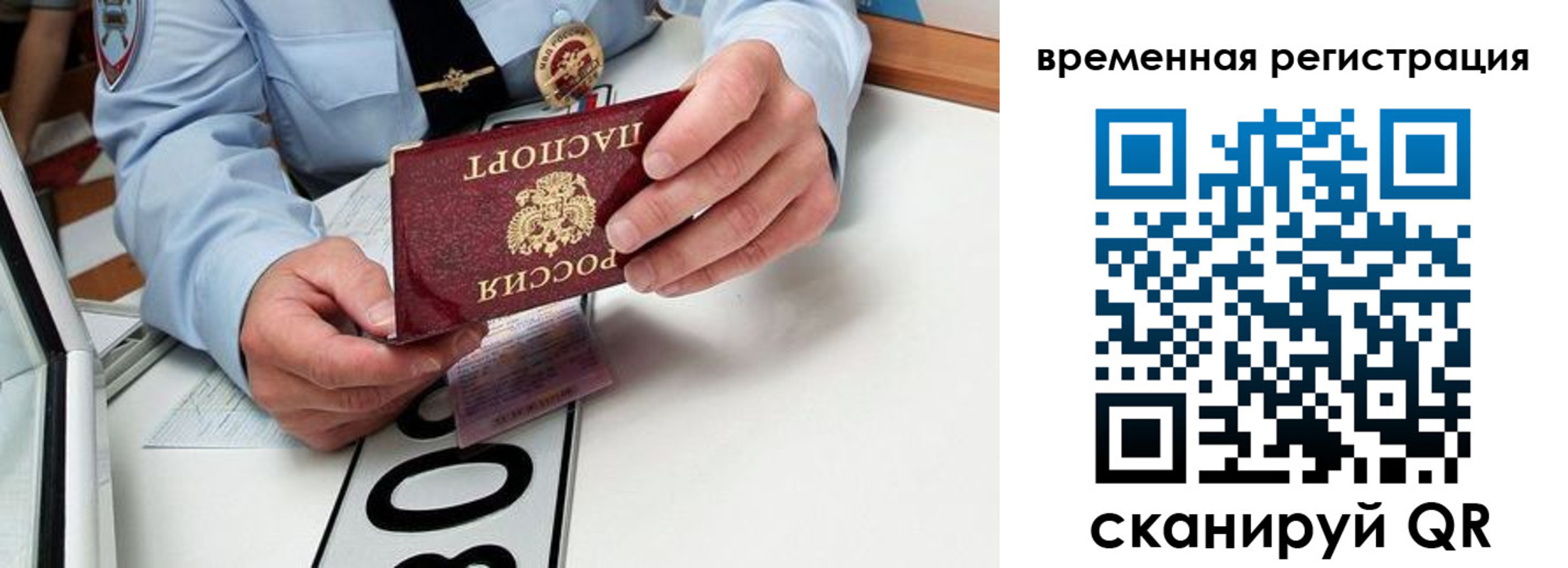 прописка гарантия в Камчатском крае